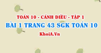 Bài 1 trang 43 SGK Toán 10 tập 1 Cánh Diều